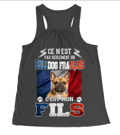 BULLDOG FRANÇAIS 02 - C'EST MON FILS