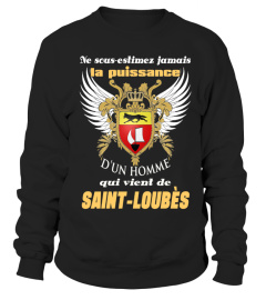 SAINT-LOUBÈS