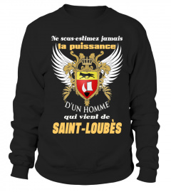 SAINT-LOUBÈS