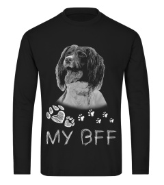 English Springer Spaniel BFF