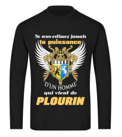 PLOURIN