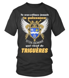 TRIGUÈRES