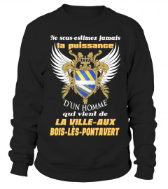 LA VILLE-AUX BOIS-LÈS-PONTAVERT