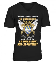 LA VILLE-AUX BOIS-LÈS-PONTAVERT