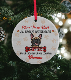 Frenchie Dear Santa I tried to be good but I take after my mommy Fr