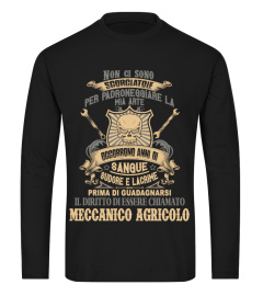 **MECCANICO AGRICOLO MT **