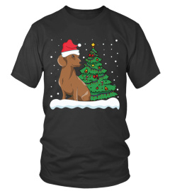 Christmas Dachshund