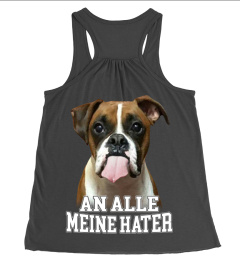 BOXER - AN ALLE MEINE HATER