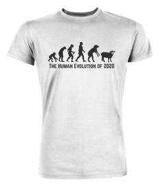 The Human Evolution Of 2020