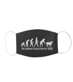 The Human Evolution Of 2020