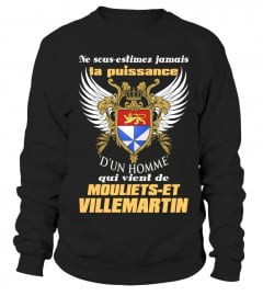 Mouliets-et-Villemartin