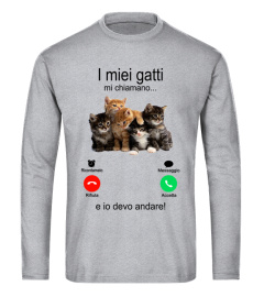 I miei gatti mi chiamano