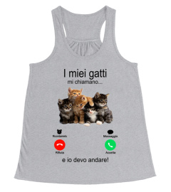 I miei gatti mi chiamano