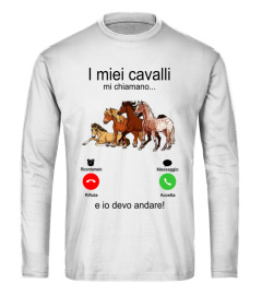 I miei cavalli michiamano