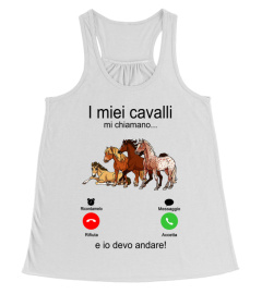 I miei cavalli michiamano