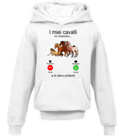 I miei cavalli michiamano