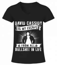 DAVID CASSIDY IS MY ESCAPE FROM ALL BULLSHIT IN LIFE