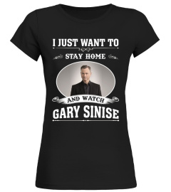 STAY HOME AND WATCH GARY SINISE