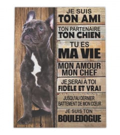 Bouledogue français - Je Suis Ton Ami