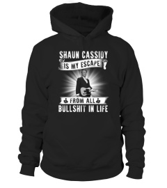 SHAUN CASSIDY IS MY ESCAPE FROM ALL BULLSHIT IN LIFE