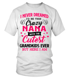 I am crazy Nana with cutest grandkids ever