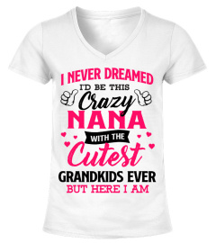 I am crazy Nana with cutest grandkids ever