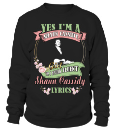 YES I'M A SHAUN CASSIDY GIRL YES I SPEAK FLUENT SHAUN CASSIDY LYRICS