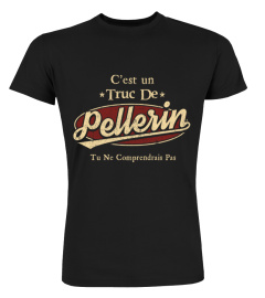 setfr00918-pellerin