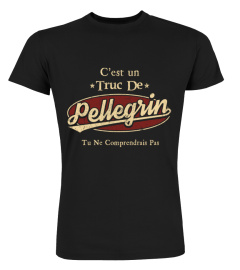 setfr02223-pellegrin