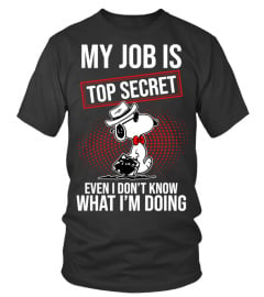 MY JOB IS TOP SECRET