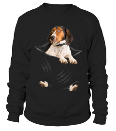 Treeing Walker Coonhound Scratch