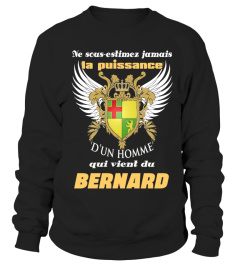 LE BERNARD