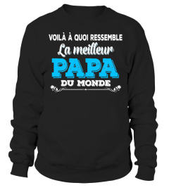 PAPA DU MONDE