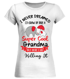 Super Cool Grandma