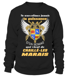 CHAILLÉ-LES MARAIS