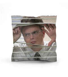 Dwight Pillow
