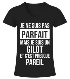 se2fr04813-gilot