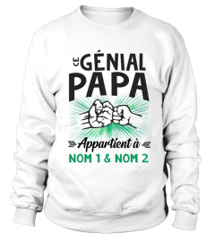 CE PAPA GENIAL APPARTIENT A