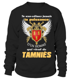 Tamniès