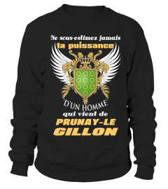 PRUNAY-LE GILLON