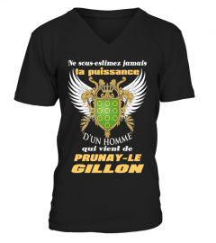 PRUNAY-LE GILLON