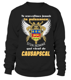 CAUSAPSCAL
