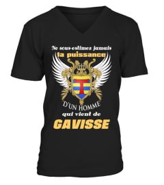 GAVISSE