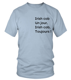 Irish cob un jour.... toujours !!!