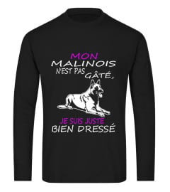 Malinois - Limited Edition