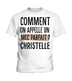 comment on appelle un mec parfait?