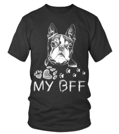 Boston Terrier BFF