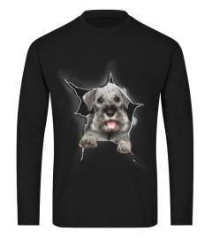 Standard Schnauzer 3D