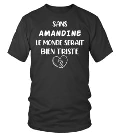 Sans Amandine le monde serait bien triste - Edition Limitée