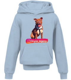 Onyxs legacy insta hoodie